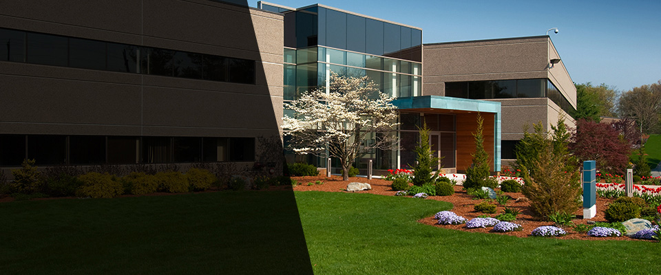 Storrs Mansfield Landscapers
