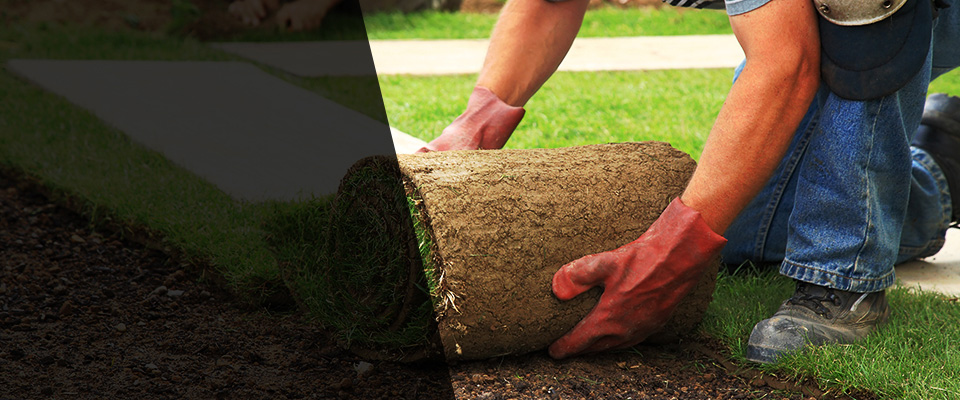 Storrs Mansfield Landscapers